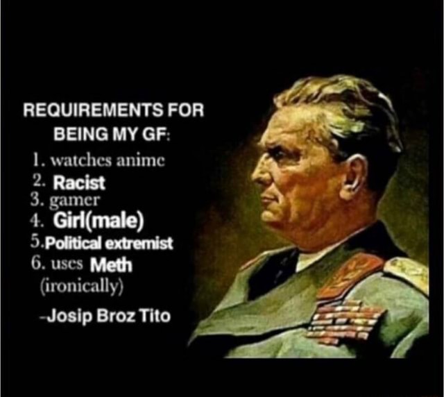 REQUIREMENTS FOR BEING MY GF I Watches Anime 2 Racist 3 Gamer 4 requirements-for-being-my-gf-i-watches-anime-2-racist-3-gamer-4