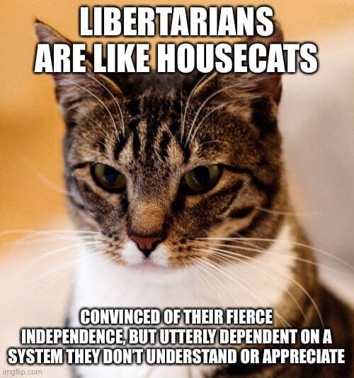 LIBERTARIANS ARE LIKE HOUSECATS CONVINCED OF THEIR FIERCE INDEPENDENCE ...