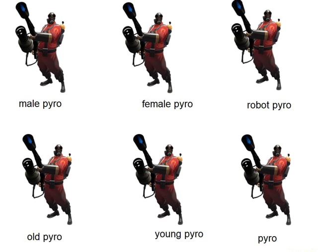 male-pyro-female-pyro-robot-pyro-old-pyro-young-pyro-pyro-ifunny