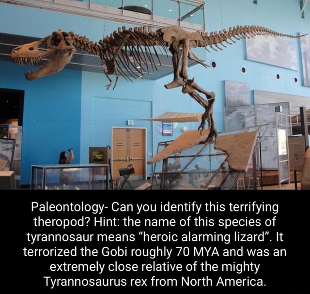 paleontology-can-you-identify-this-terrifying-theropod-hint-the-name