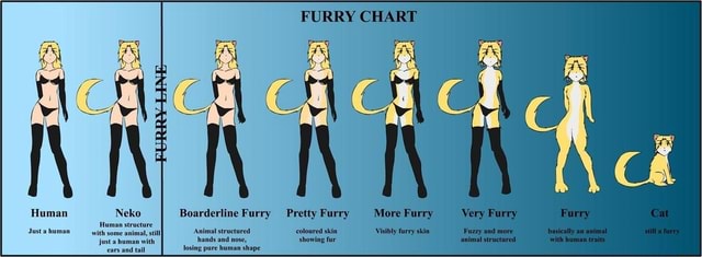 furry-chart-human-neko-boarderline-furry-pretty-furry-more-furry-very