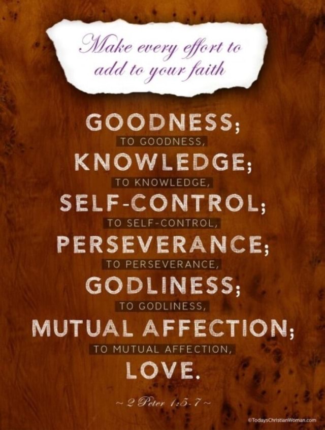 Add Your Faith GOODNESS; TO GOODNESS KNOWLEDGE; TO KNOWLEDGE, SfeLF ...