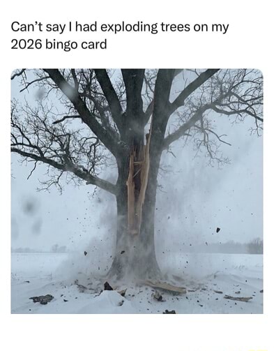 Exploding Tree Risk Meme Can't say I had exploding trees on my 2026 bingo card - iFunny