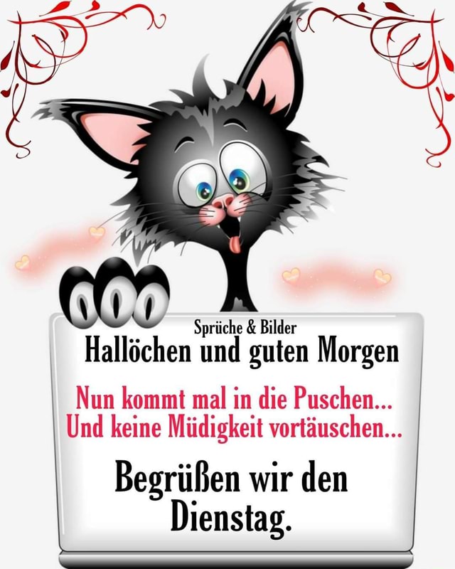 spruche bilder hallochen und guten morgen nun kommt mal in die puschen und keine mudigkeit vortauschen begrussen wir den dienstag keke