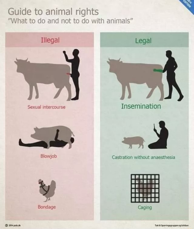 Guide to animal rights N "What to do and not to do with animals