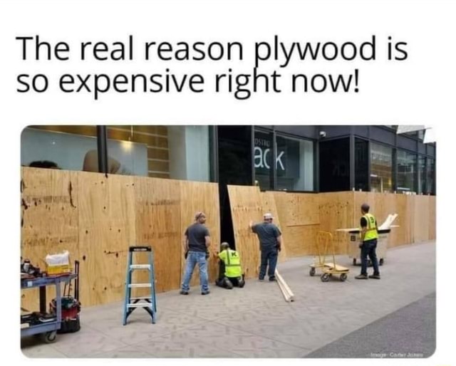 Why is Plywood So Expensive? 