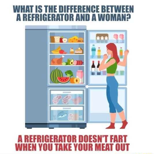 WHAT IS THE DIFFERENCE BETWEEN REFRIGERATOR AND A WOMAN? 99 A