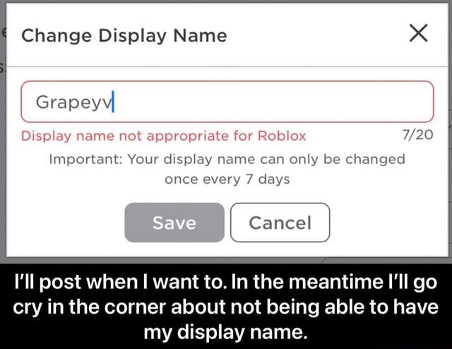 Change Display Name Gra Display Name Not Appropriate For Roblox Important Your Display Name Can Only Be Changed Once Every 7 Days Cancel I Ll Post When I Want To In The Meantime - a name for roblox