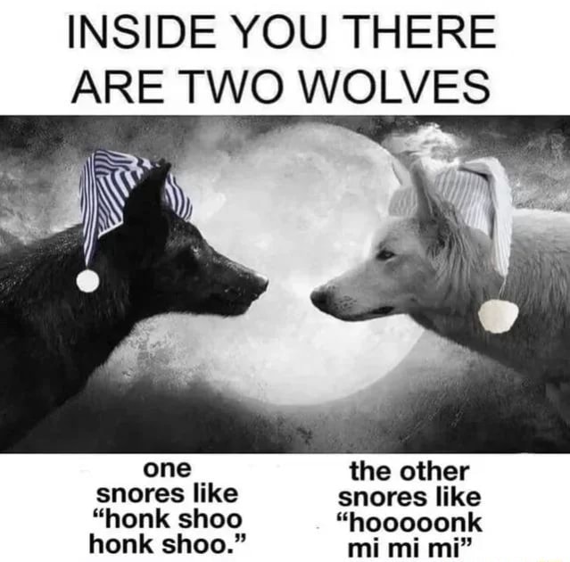 INSIDE YOU THERE ARE TWO WOLVES one the other snores "honk like shoo