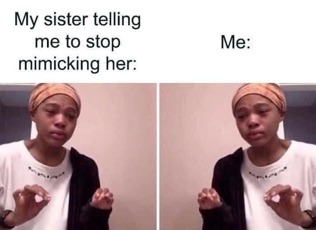My sister telling me to stop Me: mimicking her: - iFunny