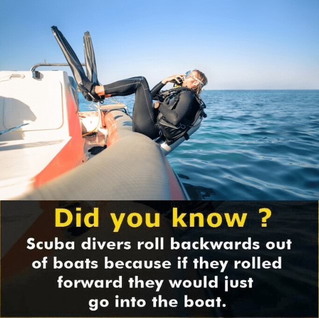 Did you know ? Scuba divers roll backwards out of boats because if they ...