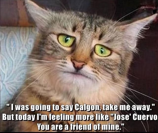 Twas Going Ta Say Calgon Take Me Away But Today I N Feeling More Like Jose Cuervo You Are A Friend Of Mine