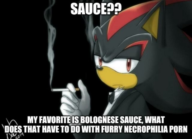 Furry Necrophilia Porn - SAUCED 2 MY FAVORITEIS I y BOLOGNESE SAUCE, WHAT 'HOES, THAT HAVE TO DO  WITH FURRY NECROPHILIA PORN - iFunny Brazil