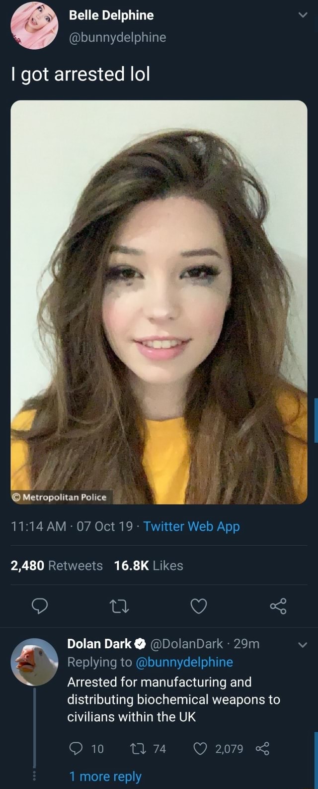 Belle Delphine's Arrest