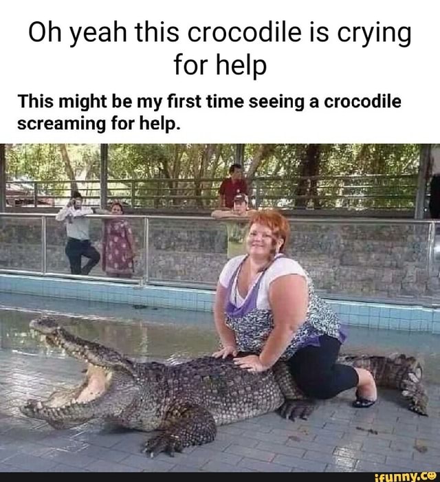 Oh yeah this crocodile is crying for help This might be my first time ...
