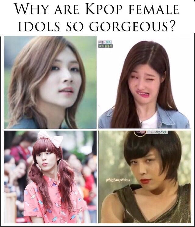 WHY ARE KPOP FEMALE IDOLS SO GORGEOUS? - iFunny