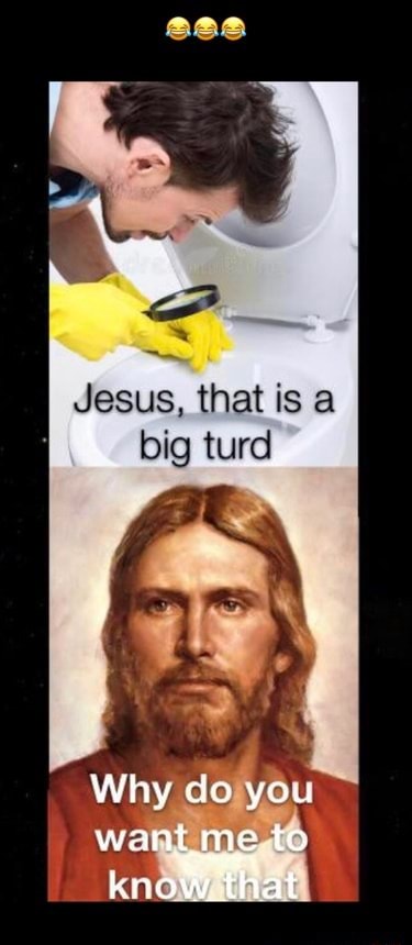 Jesus, that is a big turd Why do you want mete know - iFunny