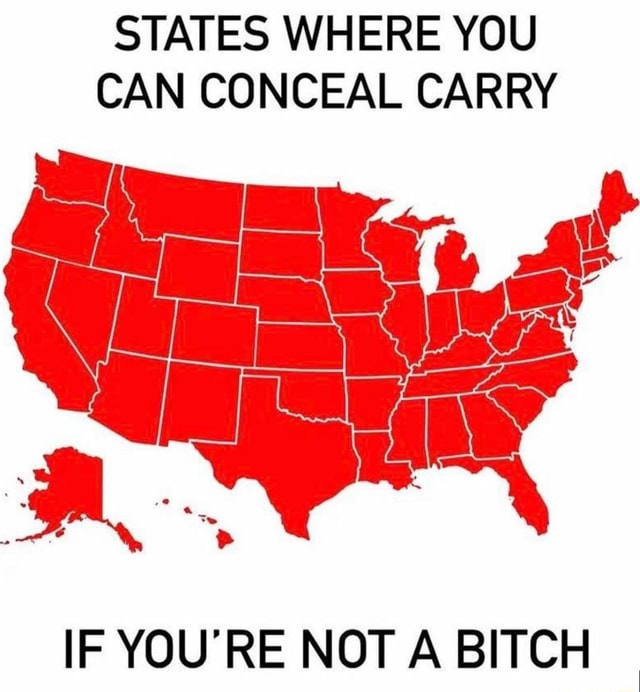 STATES WHERE YOU CAN CONCEAL CARRY IF YOU'RE NOT A BITCH iFunny
