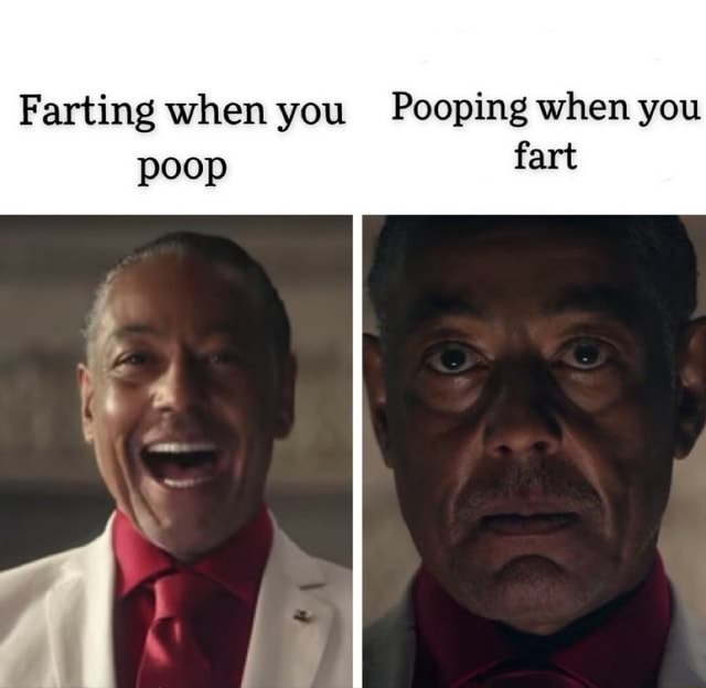 Farting when you Pooping when you poop fart iFunny