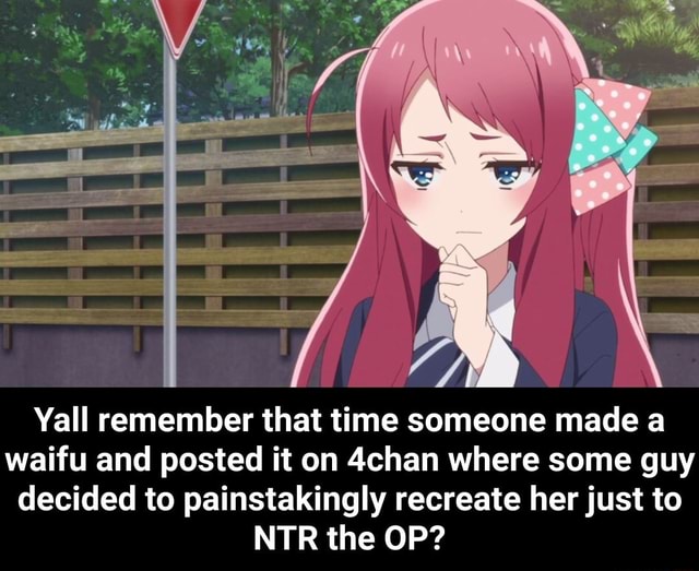 Yaii Remember That Time Someone Made A Waifu And Posted It On 4chan Where Some Guy Decided To Painstakingly Recreate Her Just To Ntr The Op Cunnvjo Yall Remember That Time