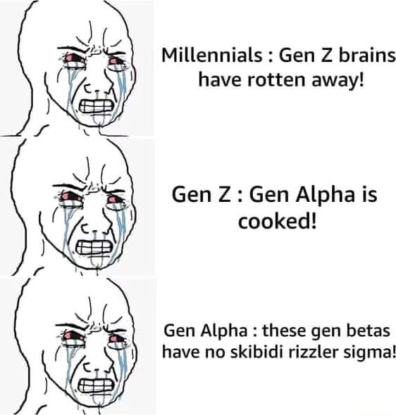 Millennials : Gen Z brains have rotten away! Gen Z: Gen Alpha is cooked ...