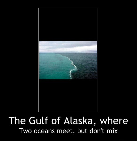 The Gulf Of Alaska Where Two Oceans Meet But Don T Mix The Gulf Of Alaska Where Two Oceans Meet But Don T Mix