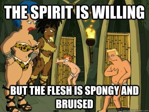 The spirit is willing but the flesh is spongy and bruised meme from Futurama snusnu episode