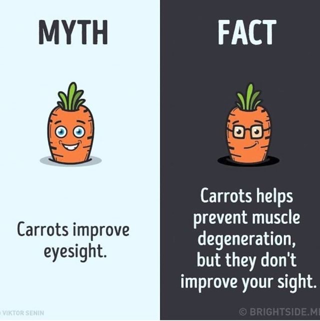 MYTH Carrots helps prevent muscle Carrots improve degeneration
