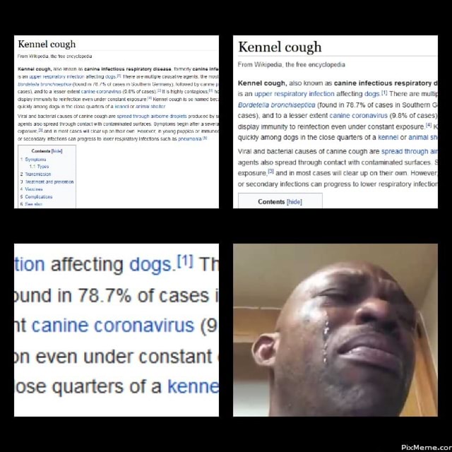 Kennel cough Kennel cough GEES Wikipedia, th encyclopedia Kennel cough