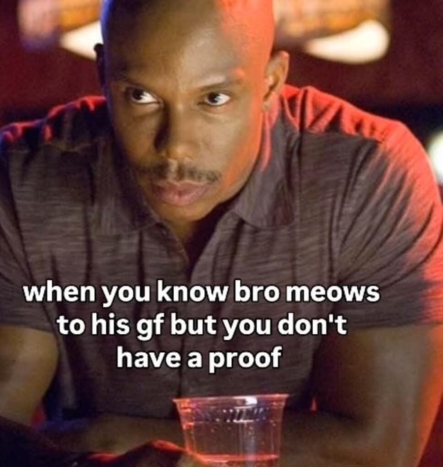 When you know bro meows to his gf but you don't have a proof - iFunny