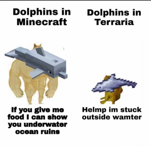 Dolphins in Dolphins in Minecraft Terraria If you give me Helmp im