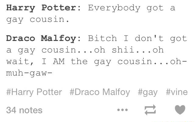 Harry Potter: Everybody got a gay cousin. Draco Malfoy: Bitch I don't ...