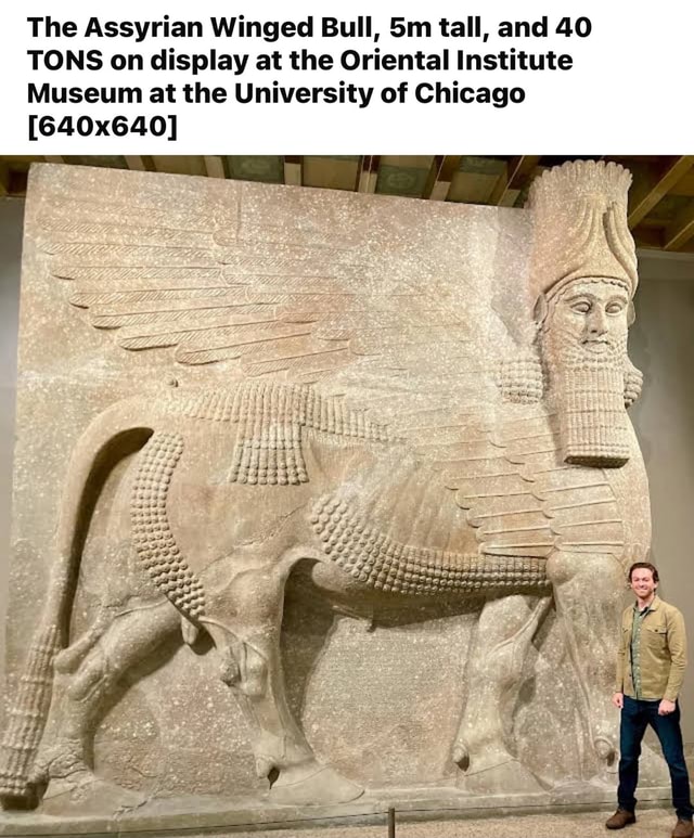 The Assyrian Winged Bull Tall And 40 Tons On Display At The Oriental