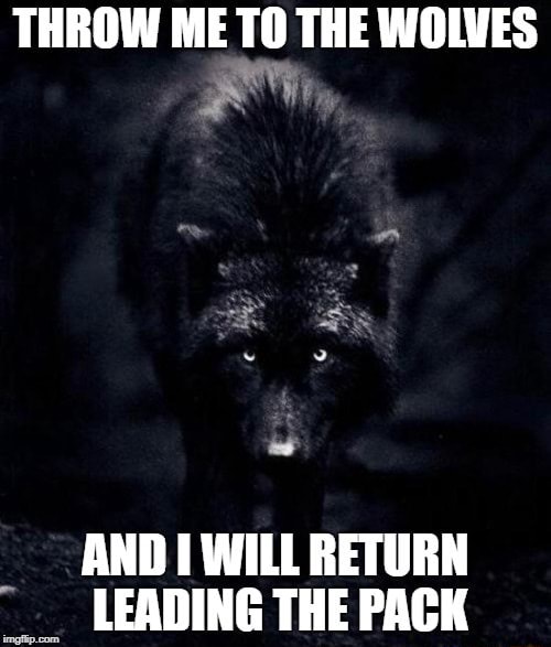 THROW ME TO THE WOLVES AND WILL RETURN LEADING THE PACK - iFunny Brazil