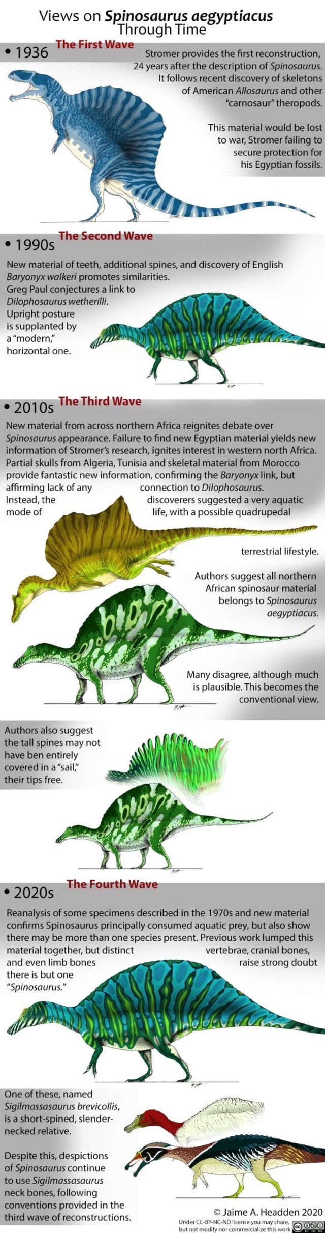 Views on Spinosaurus aegyptiacus Through Time The First Wave e 1936