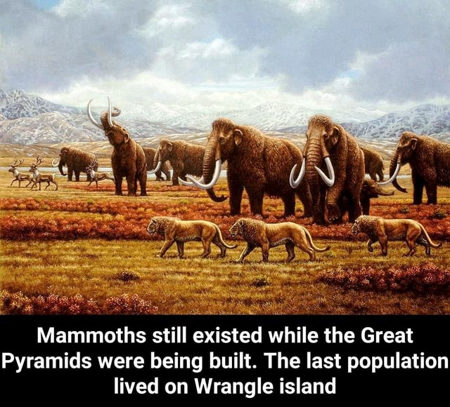 Mammoths still existed while the Great Pyramids were being built. The
