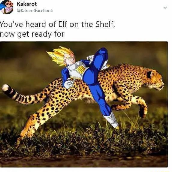 Vegeta on a Cheetah You've heard of Elf on the Shelf, now get ready