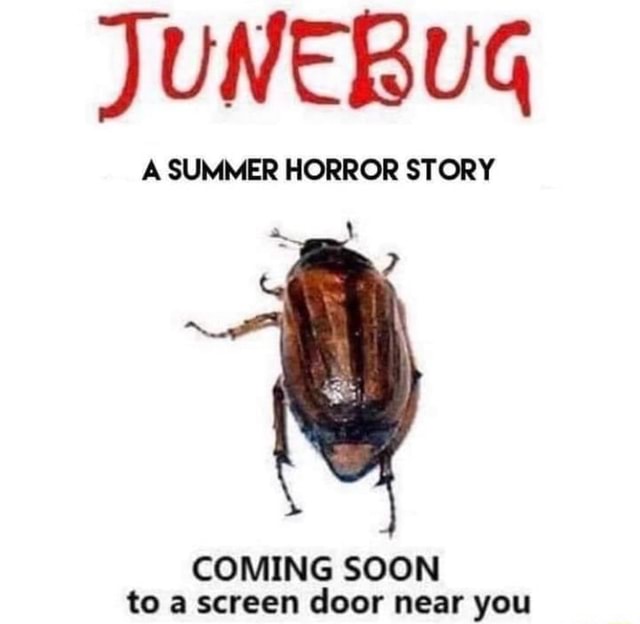 JUNEBUG A SUMMER HORROR STORY COMING SOON to a screen door near you