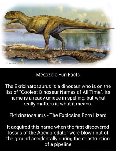 Mesozoic Fun Facts The Ekrixinatosaurus is a dinosaur who is on the ...