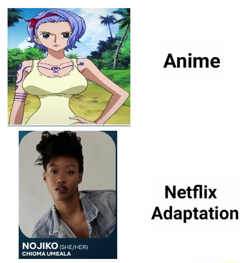 One Piece The Netflix Adoption Nojiko : r/MemePiece