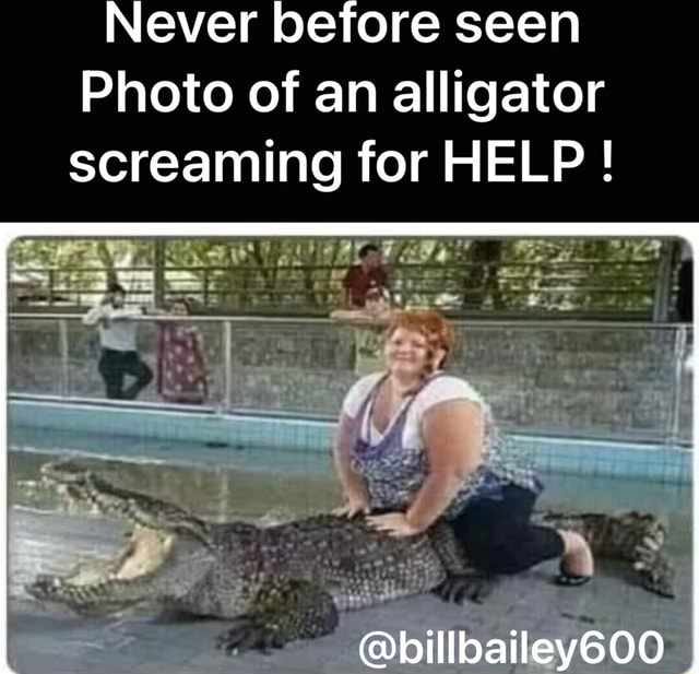 Never before seen Photo of an alligator screaming for HELP ! af ...