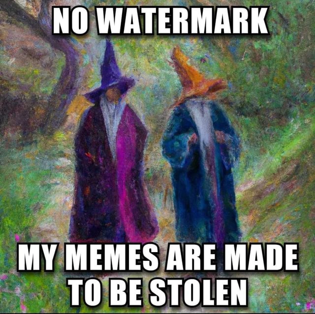 NO WATERMARK MY MEMES ARE MADE TO BE STOLEN - iFunny