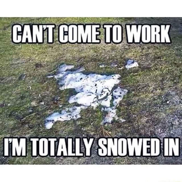 CANT COME WORK TOTALLY SNOWED IN - iFunny