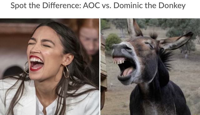 Spot the Difference: AOC vs. Dominic the Donkey.