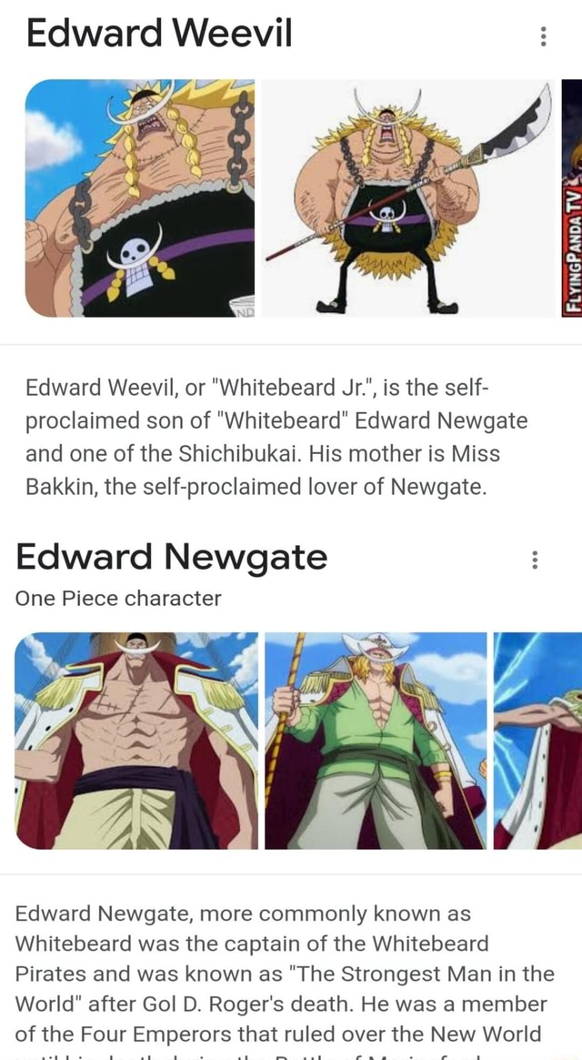 Edward Weevil Edward Weevil Or Whitebeard Jr Is The Self