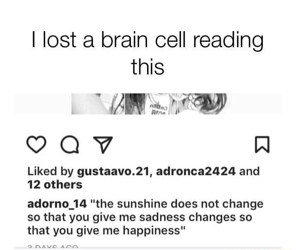 I Lost A Brain Cell Reading This O O V Ii Liked By Gustaavo 21 Adronca2424 And 12 Others Adorno 14 The Sunshine Does Not Change So That You Give Me Sadness Changes So