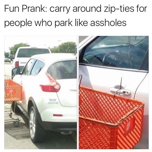 Fun Prank: carry around zip-ties for people who park like assholes ...