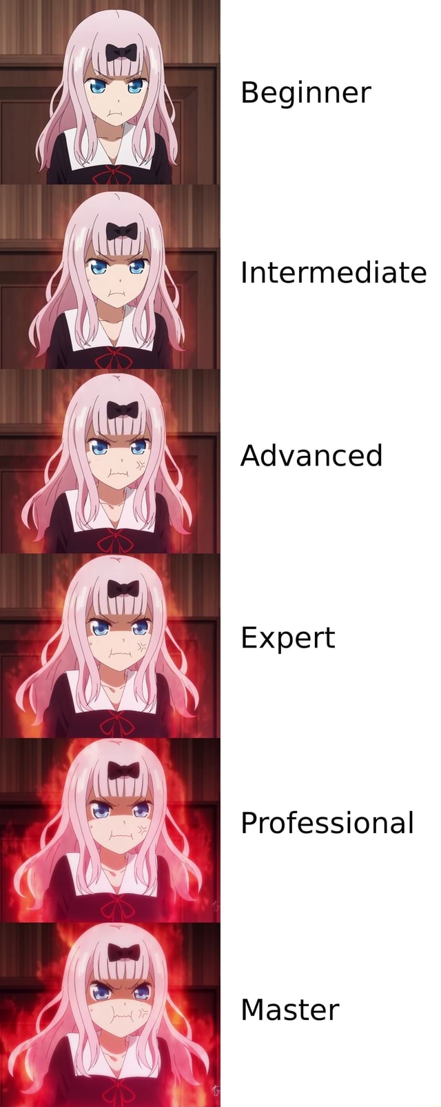 Beginner intermediate advanced expert meme