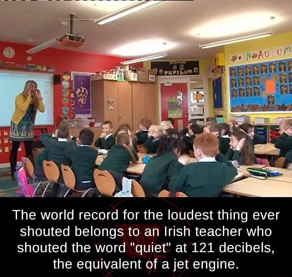 The world record for the loudest thing ever shouted belongs to an Irish