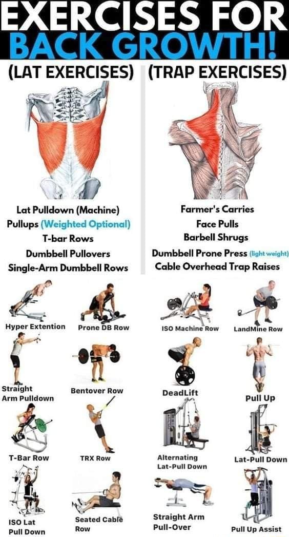 EXERCISES FOR (LAT EXERCISES) (TRAP EXERCISES) Lat Pulldown (Machine